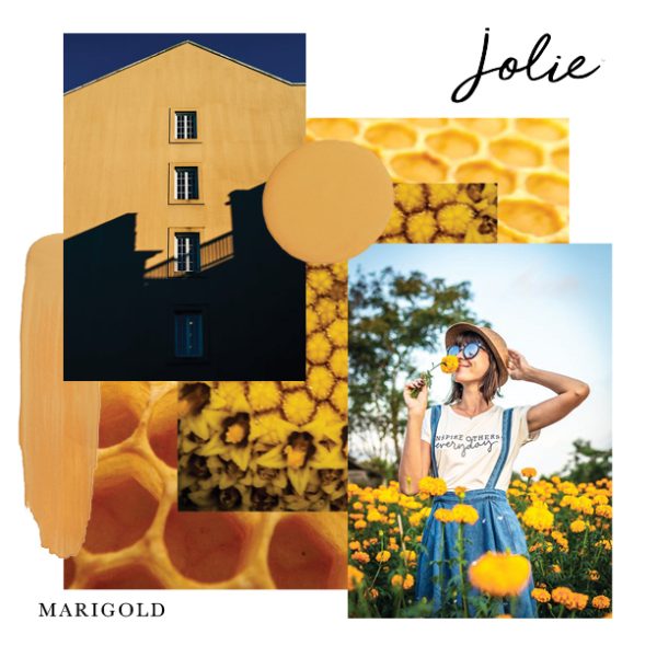 Marigold web JoliePaint ByronBay